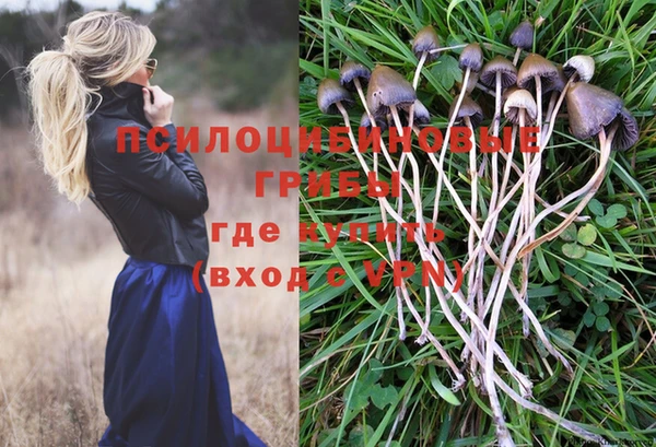 ECSTASY Алексин