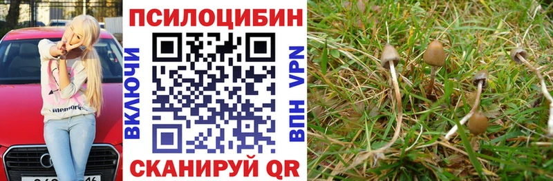Псилоцибиновые грибы MAGIC MUSHROOMS  Кизел 